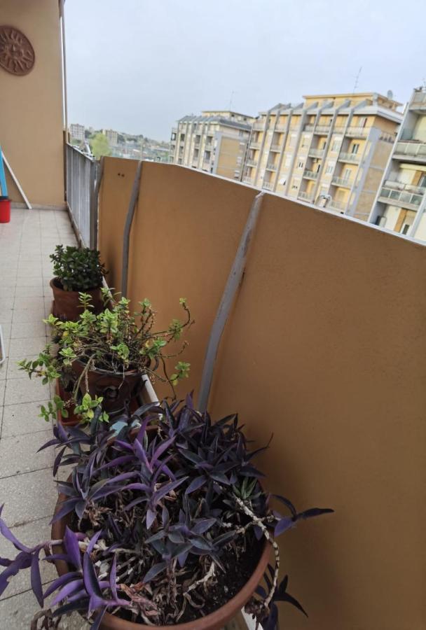 Appartamento Per Turisti E Famiglie Roma Exterior photo